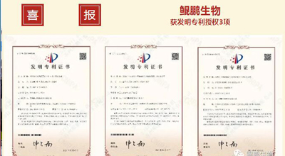 鯤鵬生物 | 核心平臺(tái)技術(shù)獲得中國(guó)發(fā)明專(zhuān)利