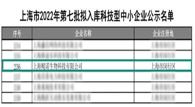 【喜訊】再添榮耀勛章 上海鯤諾榮獲“科技型中小企業(yè)”認(rèn)定