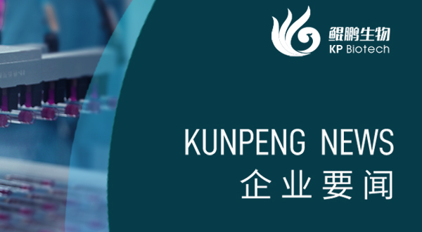 鯤鵬生物胰島素注射液試生產(chǎn)順利完成 開(kāi)啟生物制藥新里程